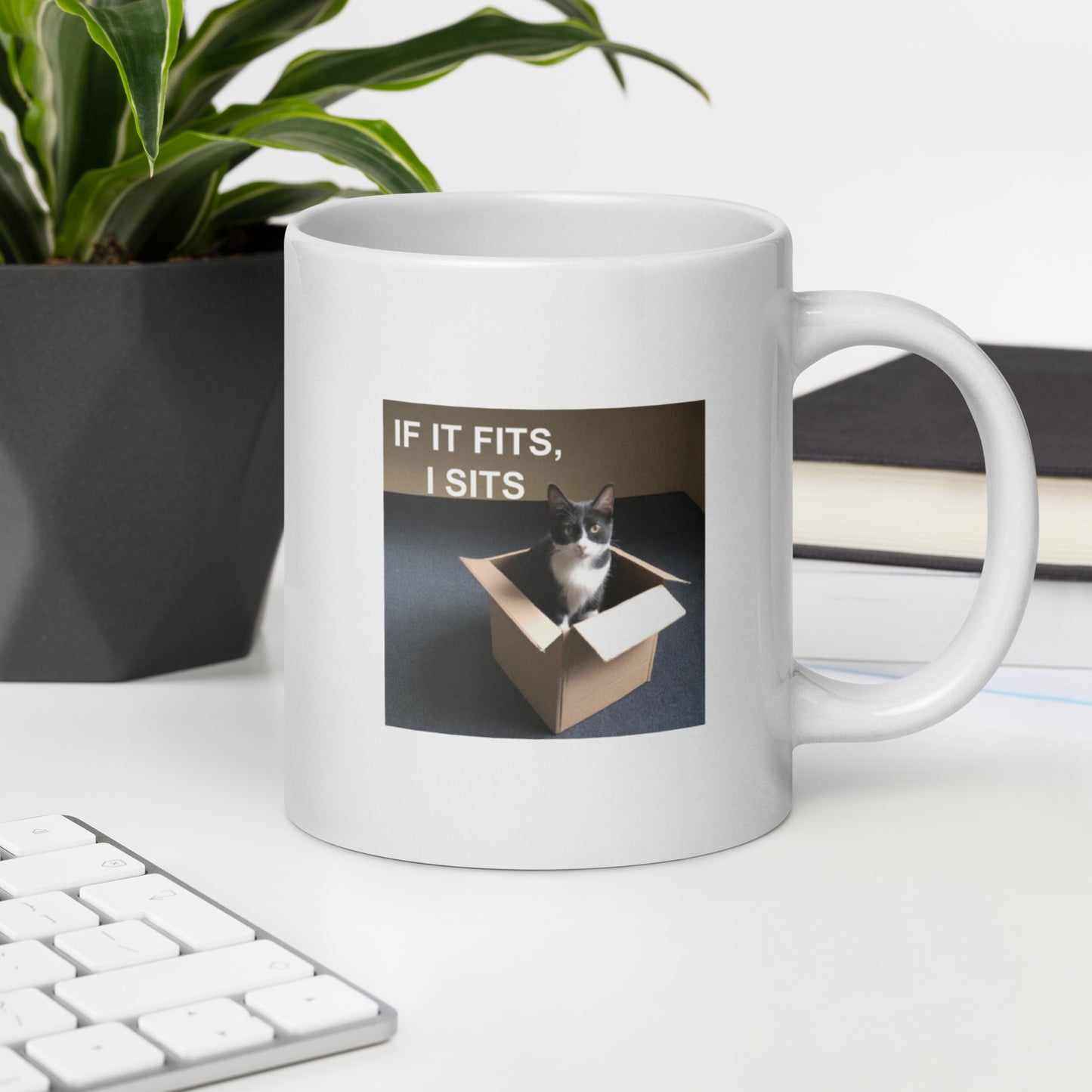 A white glossy mug with a cat meme about sitting in boxes on a desk - 20 oz