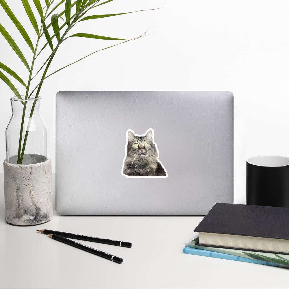 Gunther Cat Face Sticker by a plant - 4"x4"