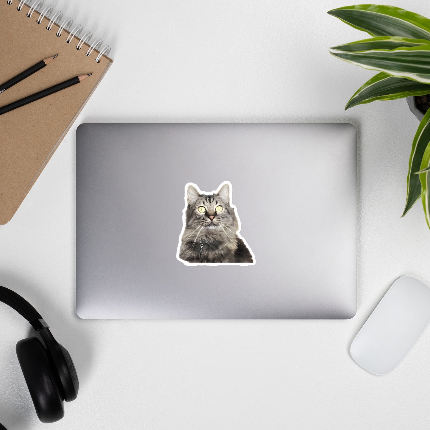 Gunther Cat Face Sticker by headphones - 4"x4"