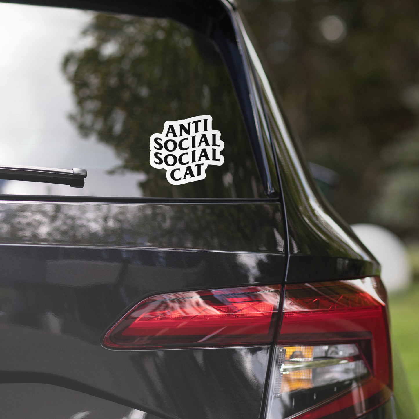 Anti Social Social Cat Sticker on rear windshield 5.5"x5.5"