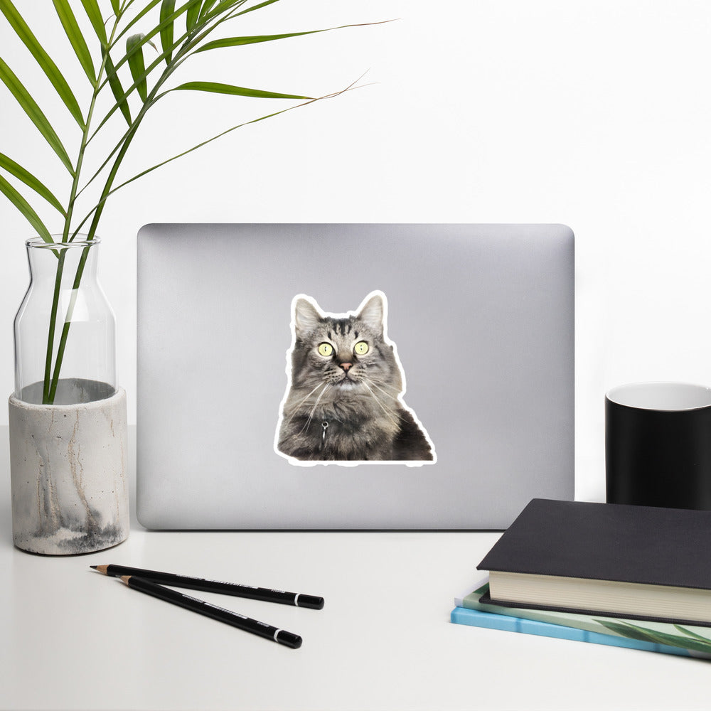 Gunther Cat Face Sticker by a plant - 5.5"x5.5"