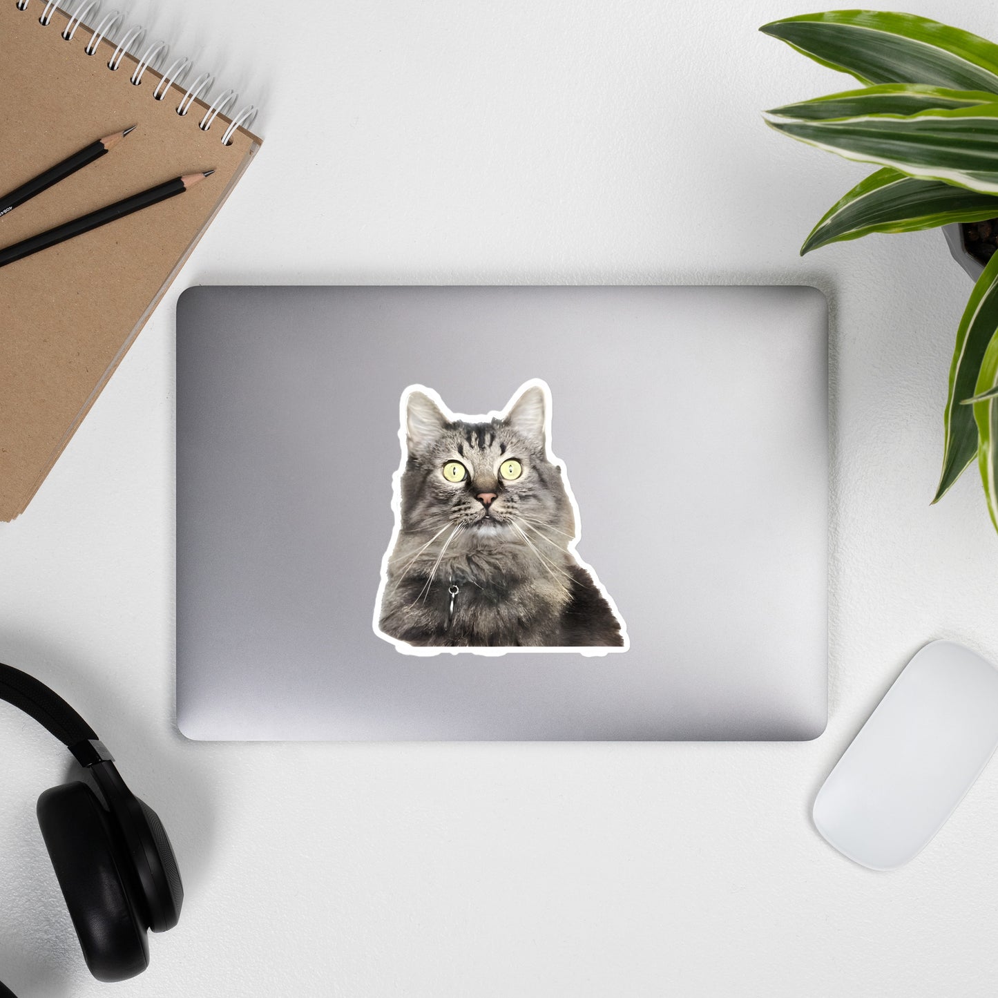 Gunther Cat Face Sticker by headphones - 5.5"x5.5"