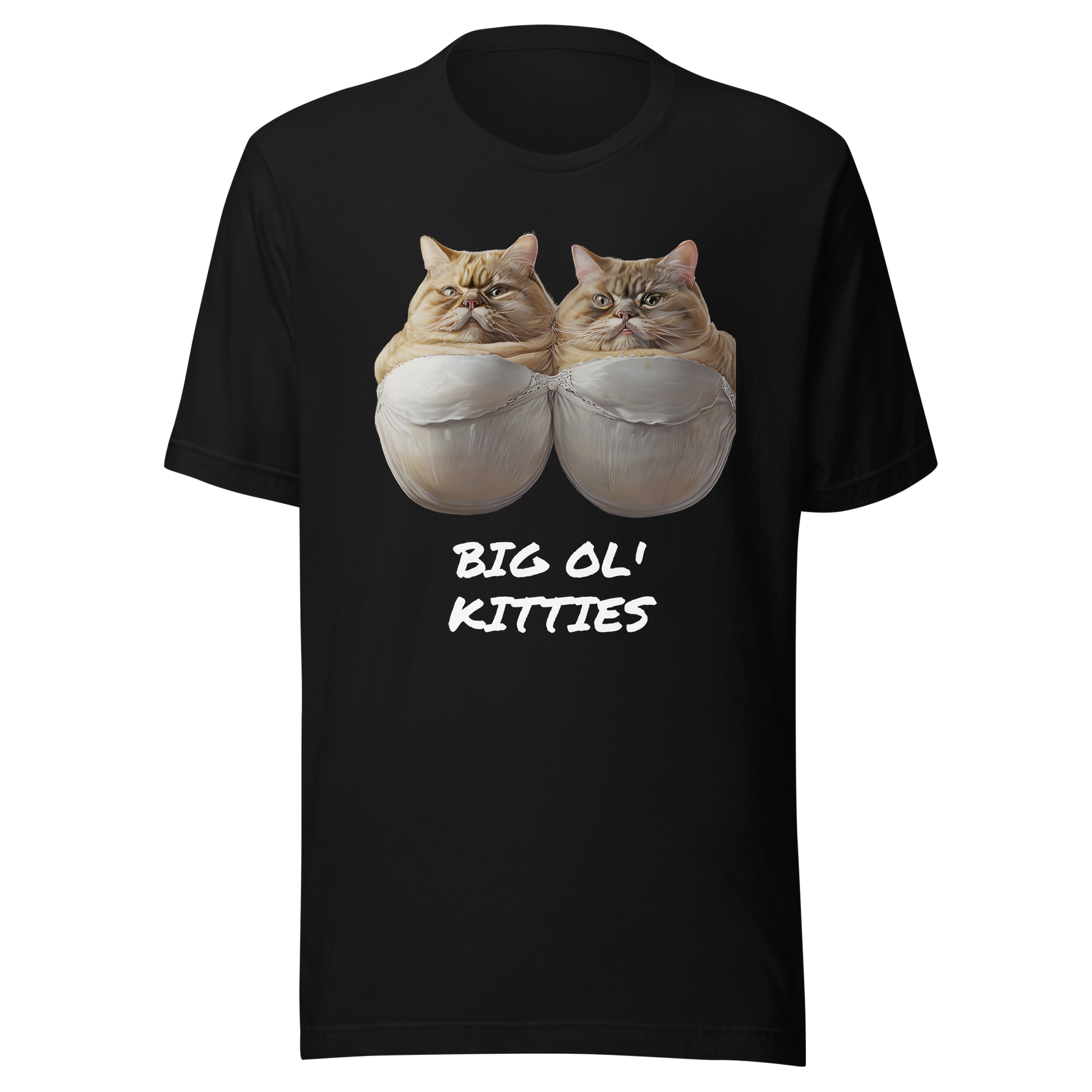 Black t-shirt with graphic of two cats and 'BIG OL' KITTIES' text on a white background - black