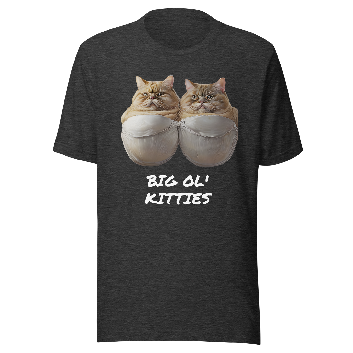 Black t-shirt with graphic of two cats and 'BIG OL' KITTIES' text on a white background - dark grey heather