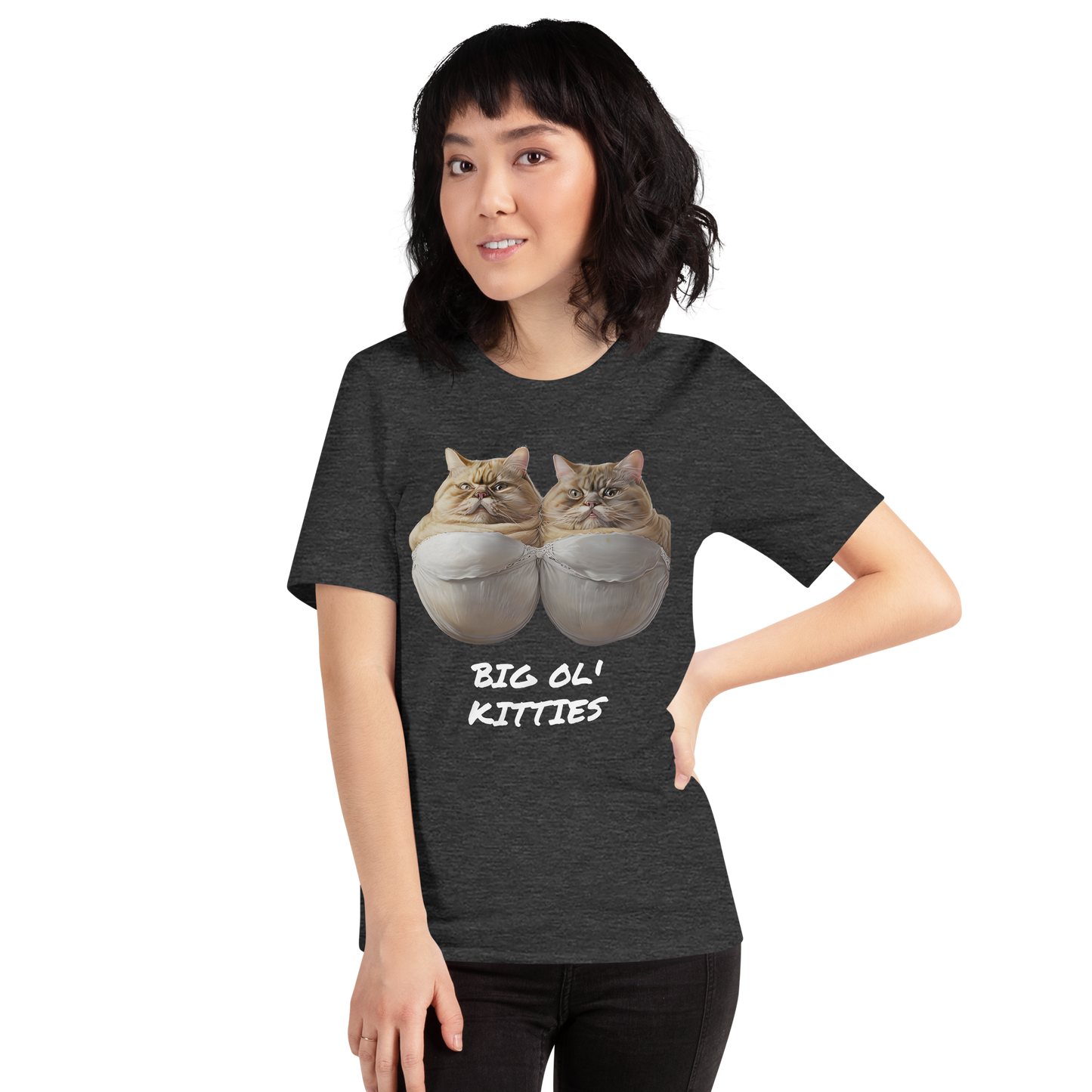 Person wearing a dark gray t-shirt with cat graphic and text 'BIG OL' KITTIES' on a white background - dark grey heather