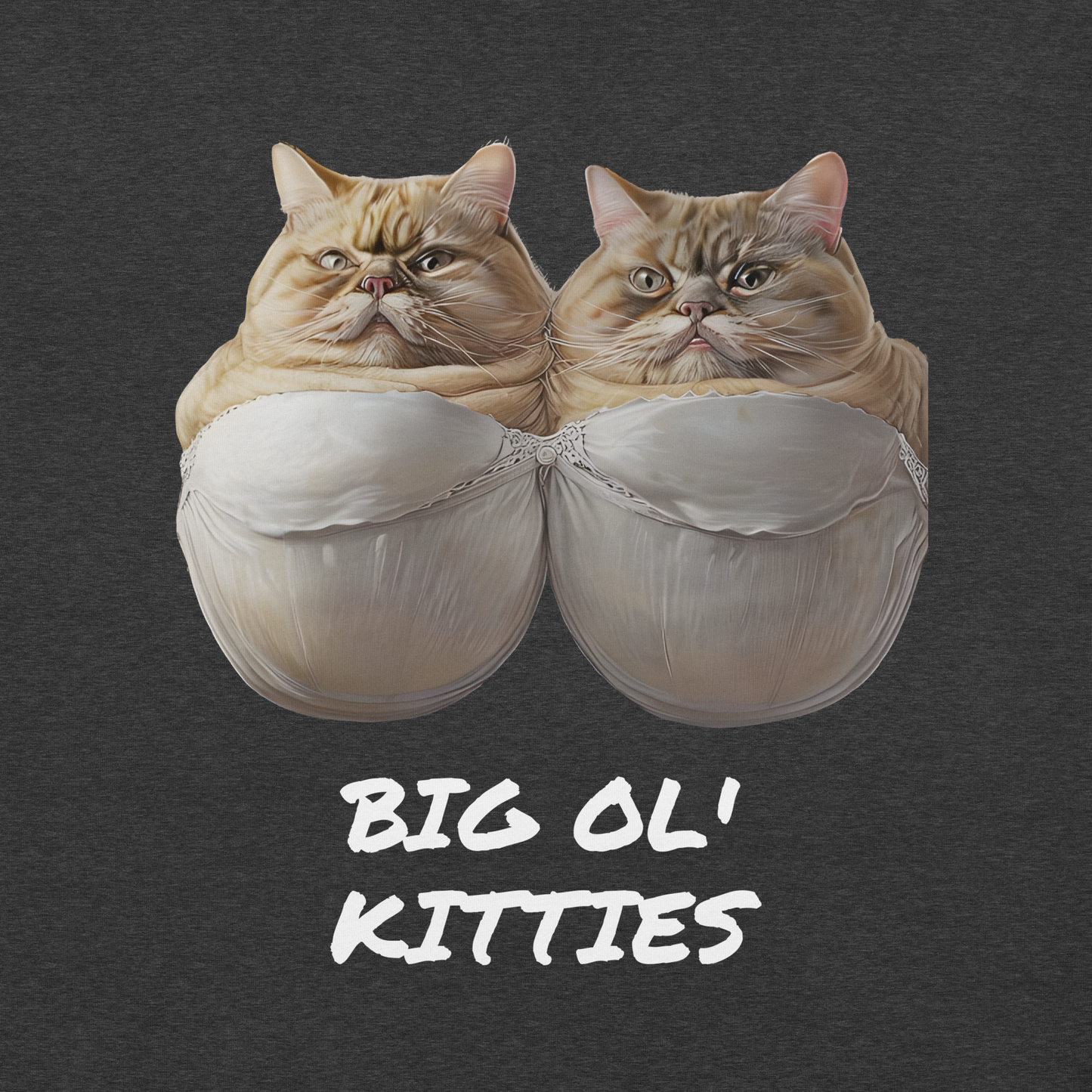 Two cats inside shell-like structures with 'BIG OL' KITTIES' text on a dark background - dark grey heather