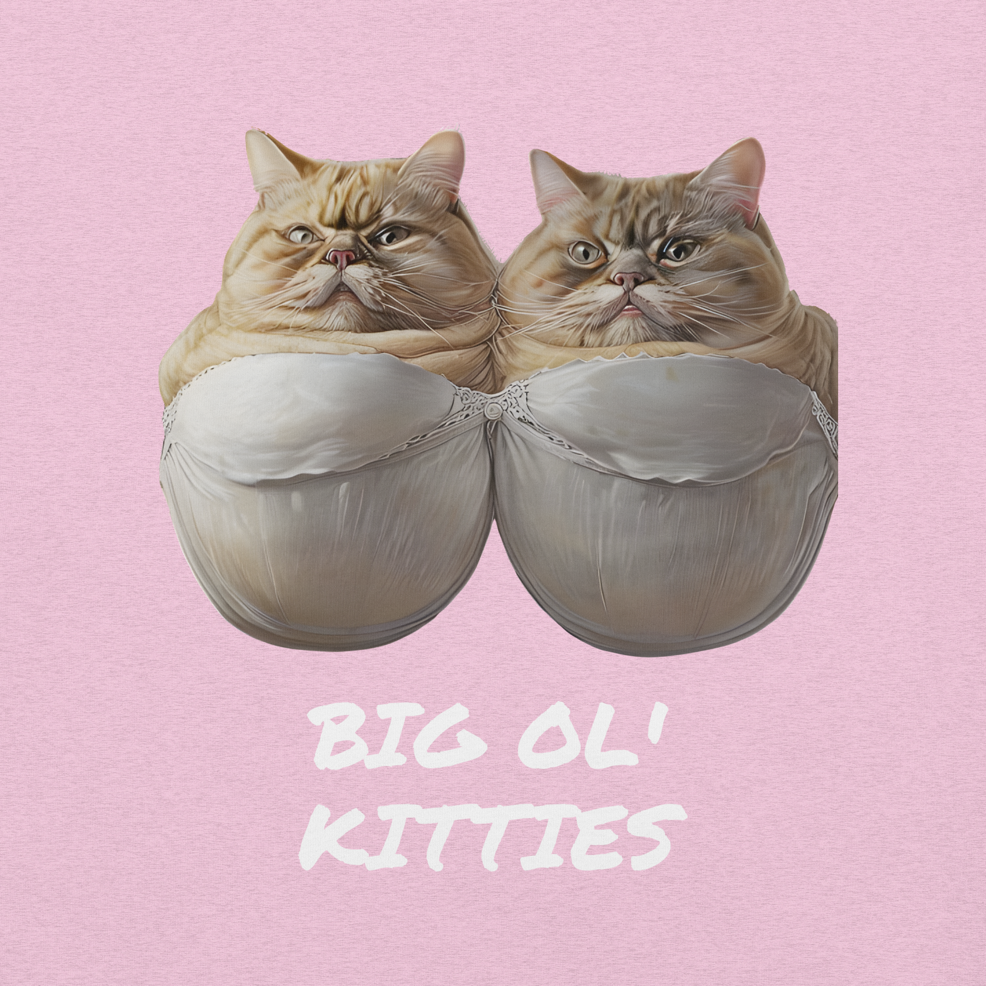 Cat-shaped slippers with a pink background and text 'BIG OL' KITTIES'. - heather prism lilac